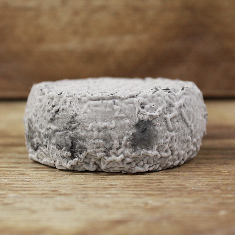 Crottin de chèvre cendré LAYA
